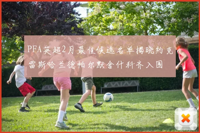 PFA英超2月最佳候选名单揭晓约克雷斯哈兰德帕尔默舍什科齐入围